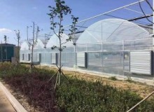 使用連棟薄膜溫室的蔬菜大棚在冬季要怎樣做才能減少病蟲(chóng)害