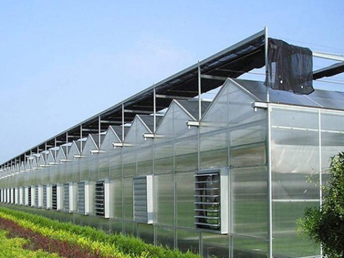 陽光板溫室